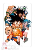 Dragon Ball 011